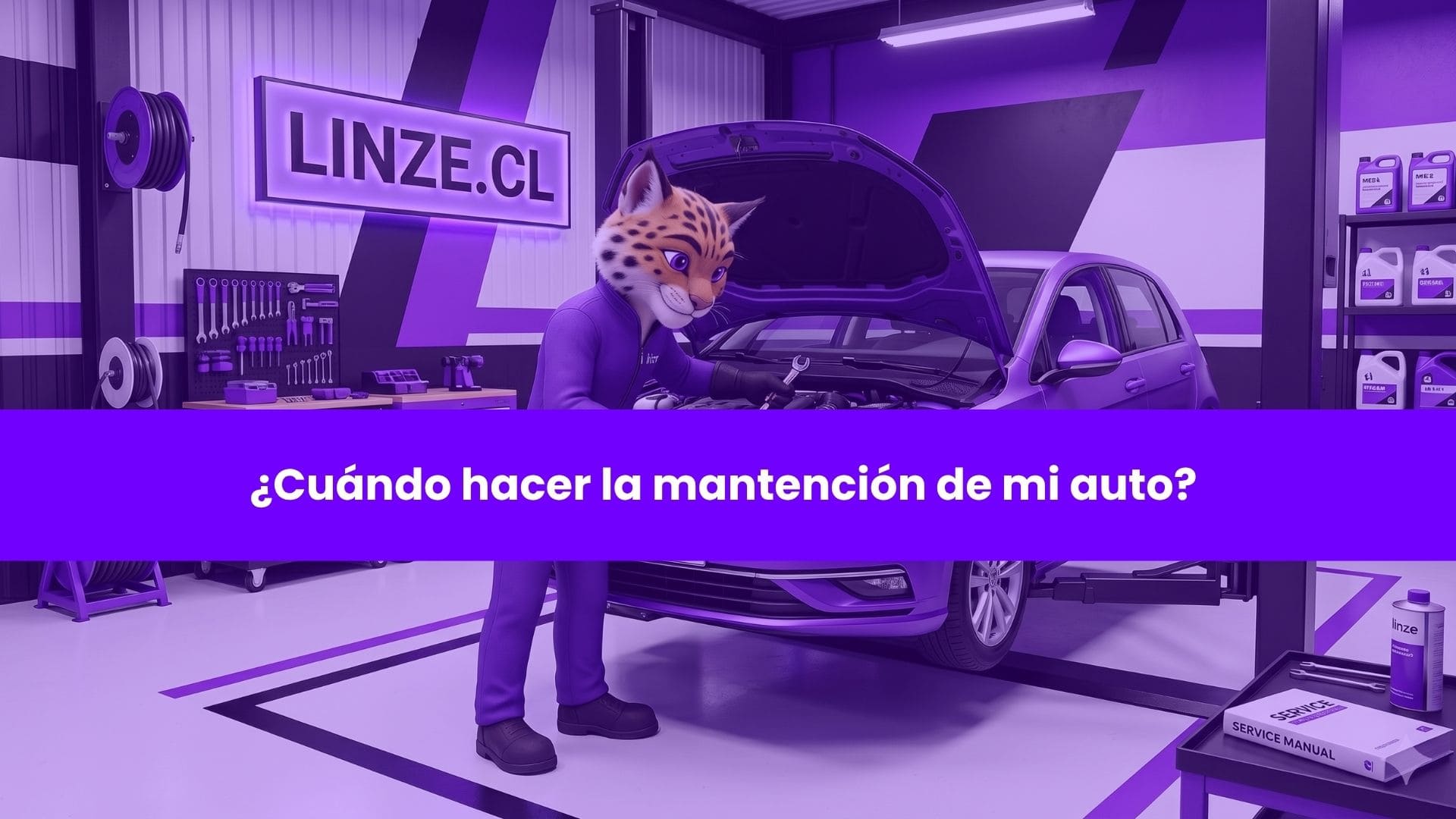Restricción vehicular, grabado de patentes y multas que debes evitar en 2026